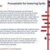 pravastatin pills